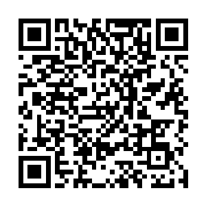 杨辰阻止了克柳切维斯基家族与英国威尔士王室的联姻二维码生成