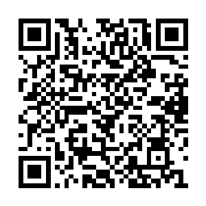 杨风的隐匿方式是特殊的隐匿方式从现在消失了二维码生成