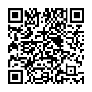 杨风等人正在全力的阻止龙在天一方还有虚空之鼠的攻击二维码生成