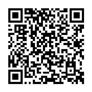 林为进见苏芷妍反应似乎有些超乎他所想象的大二维码生成