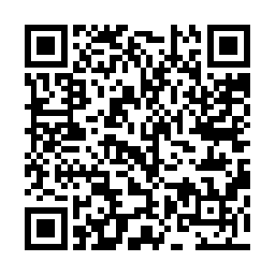 林初音则跟着张怡还有弗格森去寻找可以制造成工具的材料二维码生成