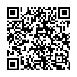 林封谨勉强在外门弟子的考试当中十分艰难的挤入了前十二维码生成
