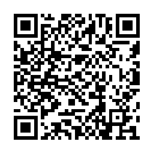 林封谨当然不知道广场上的这些诡秘无比的变数二维码生成