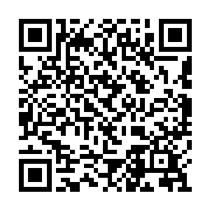 林德伯格用搭钩把那具海狮的尸体又扔回了海里二维码生成
