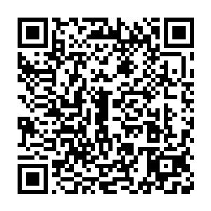 林梦君此刻不要命的将自己的妖气疯狂的注入进入萧子卓的身体之中的二维码生成