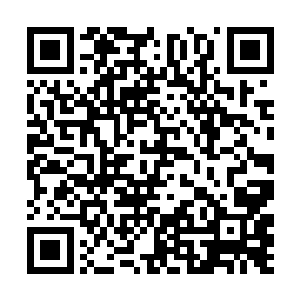 林欣怡带着几只巨型尸兄已经将波特和哈敏救了起来二维码生成
