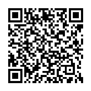 林烽从定海神珠中将无土栽培设备拿了一套出来二维码生成