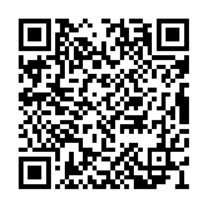 林烽和秦嫣然这一段本就一直出在阳光下的关系二维码生成