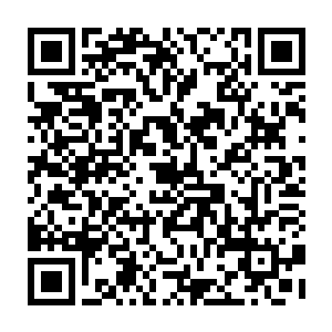 林烽和罗卿卿正打算跟在金甲赤虫的身后究竟要下楼到厨房吃点什么的时候二维码生成