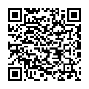林烽学长会不会再总结地说一次毛竹精神和石灰人生呢二维码生成