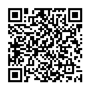 林烽的心神一边在周围探索一边开始仔细寻找着周围的气息二维码生成