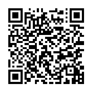 林肯公园会现身11月22日的沈馥洛杉矶斯台普斯演唱会二维码生成