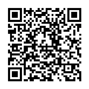 林辰却是连忙伸出右手夹了一块不知道什么东西的东西二维码生成