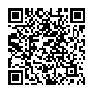 林铭只感觉一股高频率的震动真元钻入了他的重玄软银枪中二维码生成