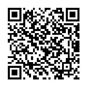 林铭很快便可以让自己的第三第四个神梦印记圆满二维码生成