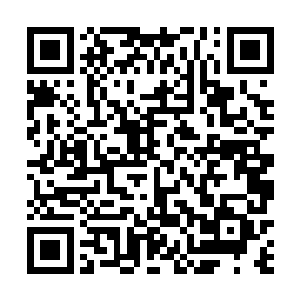 林铭的枪招看起来就跟那些初次接触武学的菜鸟差不多二维码生成