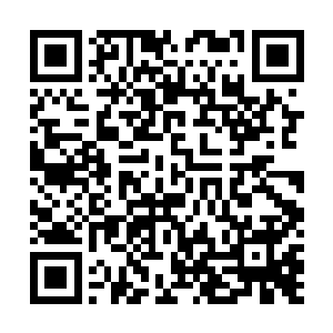 果然便翻掌从储物异宝中取出了一根诡异枯黄的骨骼出来二维码生成