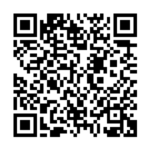 果然和我预料的一样……孟奇将之前抄录的经文双手递给了师父二维码生成