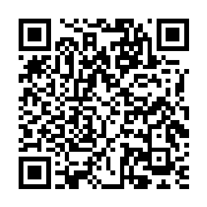 果然本来想入船舱跟卫晨还有老师们打声招呼的邢大队长二维码生成