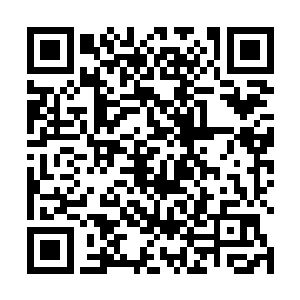 染着各种颜色漂亮趾甲的雪嫩小脚丫都那么的俏皮可爱二维码生成