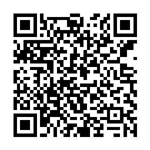 柳逸尘从大玻璃窗里看到了换好了舞蹈服的小美女们二维码生成