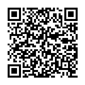 柳逸尘嗅了一下银发少女发间还有些湿润的幽香二维码生成