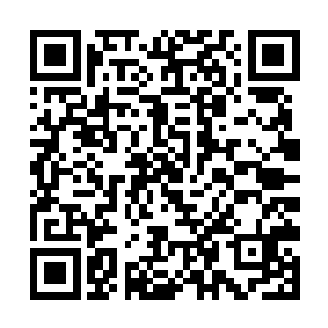 柳逸尘突然发现和一张白纸似的女孩子解释某些问题二维码生成