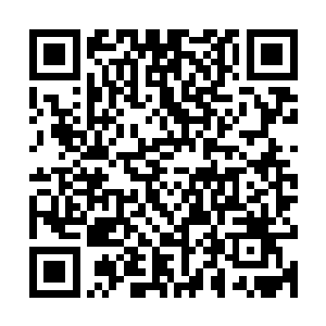 树男竟然用嘴巴灌了口肉汤去喂那个看不出来是什么东西的焦尸二维码生成