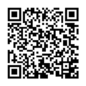 栖息在废墟附近的飞禽走兽被这惊天动地的一幕吓到二维码生成