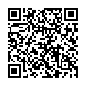 根本不会为了他这点尊严而赶来天庭替他镇压那孙猴子二维码生成