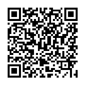 根本不足以让眼前这些过来挑刺找茬的家伙们闭嘴二维码生成