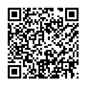 根本就不是那位于庇护所世界中段的库拉斯特海港二维码生成