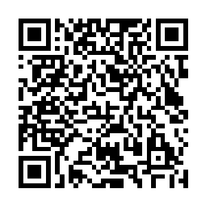 根本没必要与追杀他的墨族王主玩什么虚虚实实的把戏二维码生成