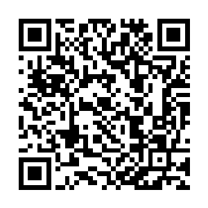 格森王国的领军统帅为了能随时赶到城墙上指挥战斗二维码生成