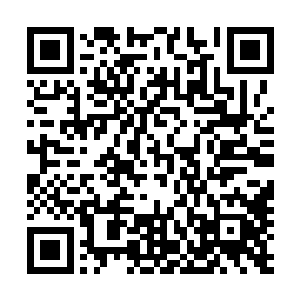 桀桀桀桀……没想到hun沌巨人族的十二大族长竟然都到齐了二维码生成
