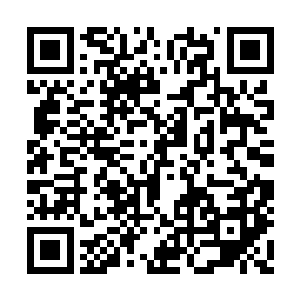 梁佳佳给年欣然打的那通电话就是夏薇人回来了二维码生成