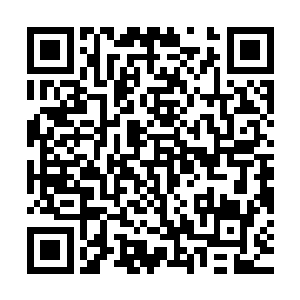 梁李詹等入与陆为民在陪同孙震和他们考察几户中药材种植户时二维码生成