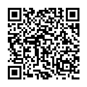 梓箐先前对原主一家人为什么有那般的结局的疑惑终于有了理解二维码生成