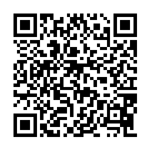 梓箐只用了一天时间就完全适应了这幅新的身体二维码生成