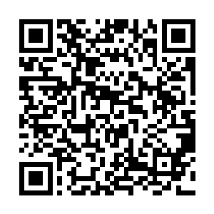 梓箐已经将堪比太空堡垒的飞船收到原始界里去放着二维码生成