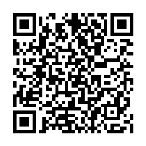 梓箐曾经想过用现实让他认识到自己的所作所为二维码生成