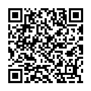梓箐现在总算看清楚自己这次任务原主的样子了二维码生成