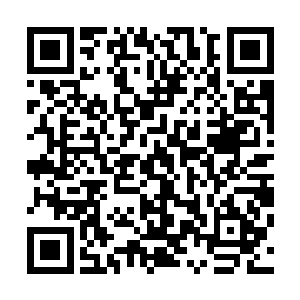 梓箐现在随便走到哪身旁都有一大团影影绰绰的鬼影围绕着二维码生成