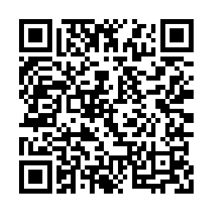 梓箐瞥了眼桌子一角上码放的整整齐齐的红票子二维码生成