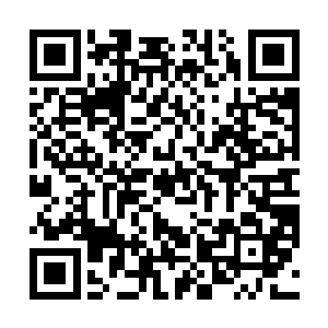 梓箐觉得现在的家当已经不是一个地下室可以搞定的了二维码生成