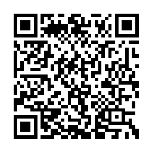 梦里她看见穿着短裤的白振东躺在金色的沙滩上二维码生成