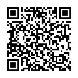 梦露露下午的时候已经被我的几个小弟接出院了二维码生成