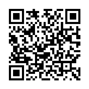 梧桐树的树根比梧桐树的树体还要坚硬一些二维码生成