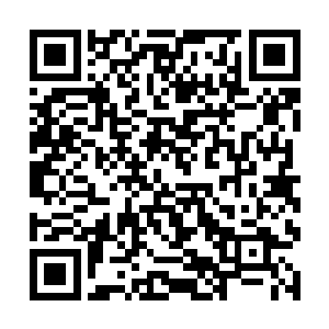 楚旬体内凶灵虫体的改变也终于从量变积累成了质变二维码生成
