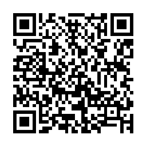 楚旬感觉到自己体内原本强大无比的力量正在如潮水一般退去二维码生成